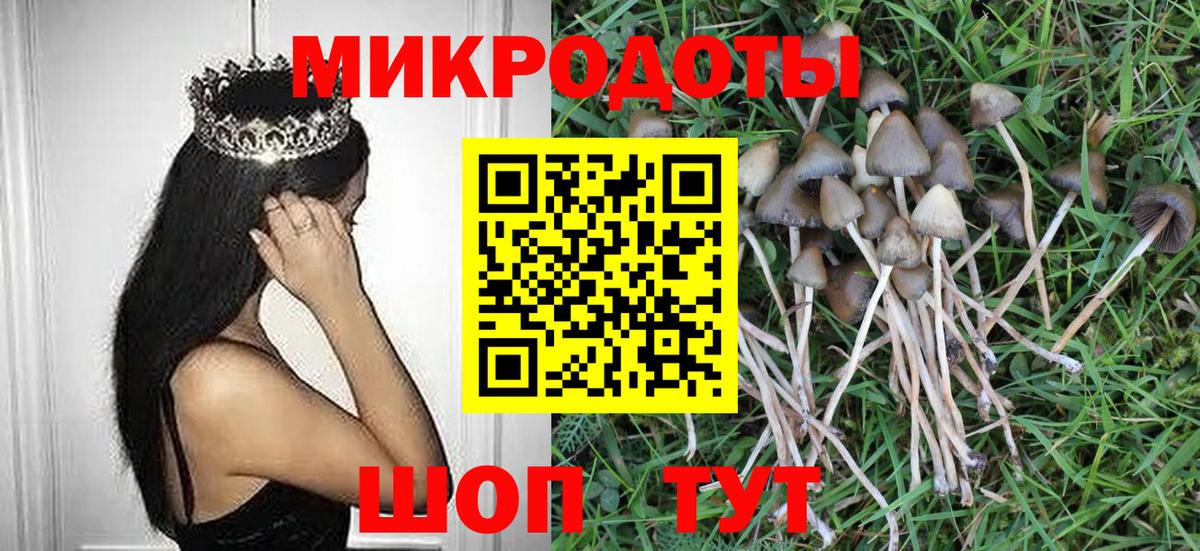 Галлюциногенные грибы Cubensis  Вход с VPN  Кимовск 
